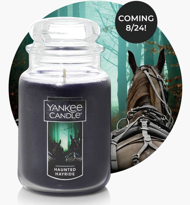 Yankee Candle 2019 Boney Bunch Sneak Peeks Fall Candles Halloween